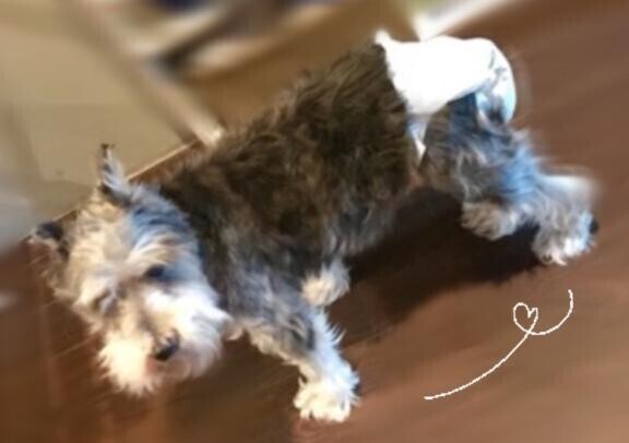 出勤しました🫡🤍
