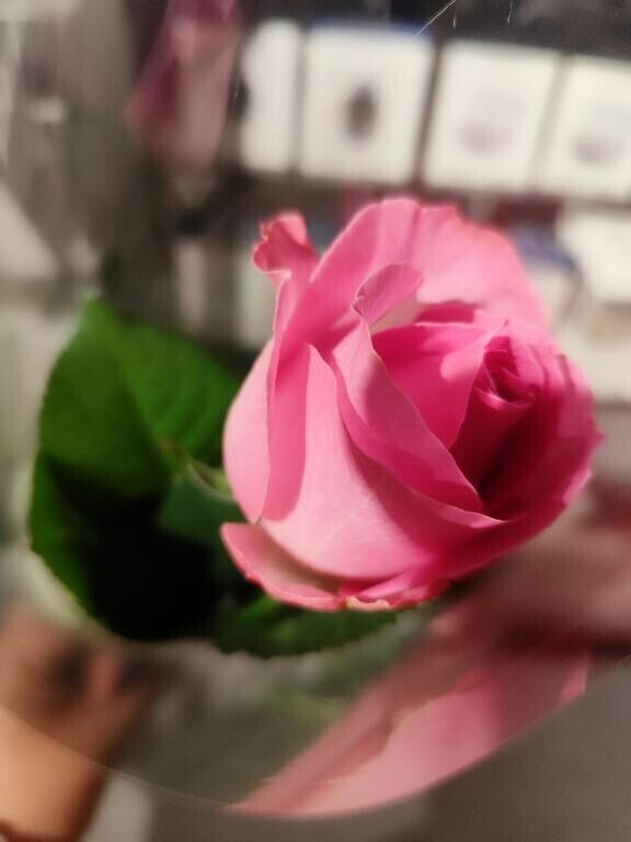 🎀来週の出勤について🎀