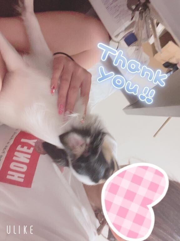ありがとう🐰