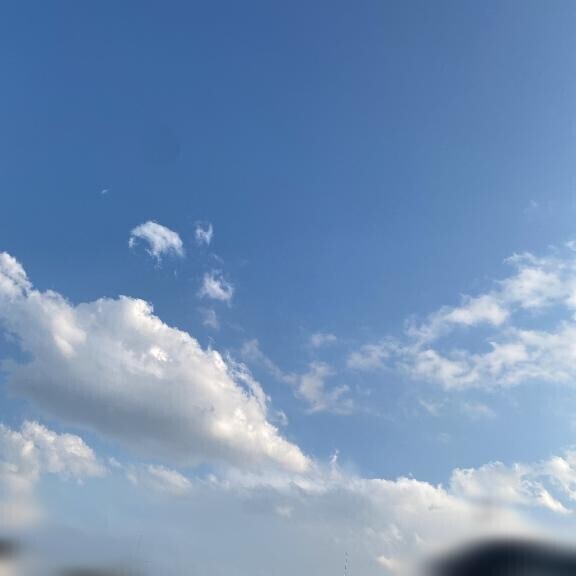 みて〜！🌟