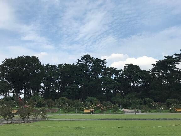 今日は…💖