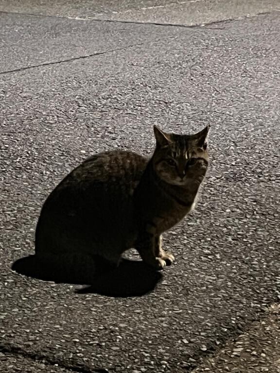 😭今日はお休みです😭