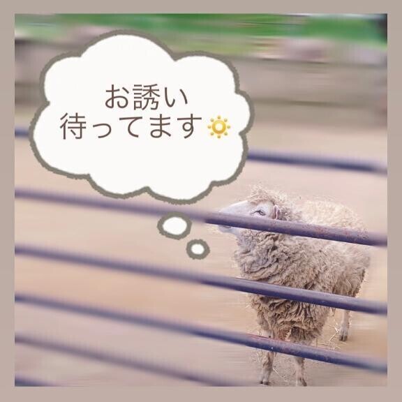 12：00 〜 (ᜊº-°)ᜊ🤍