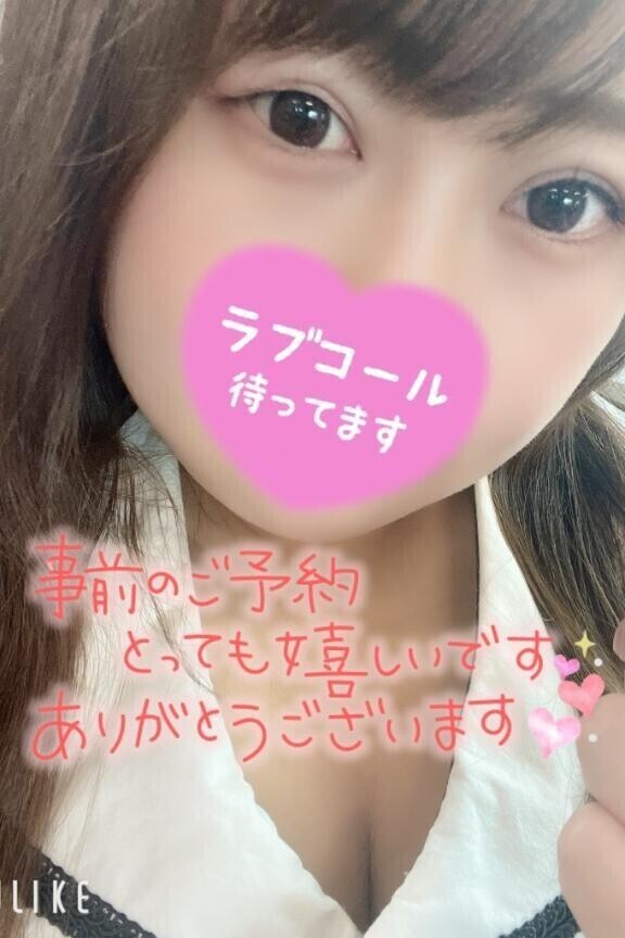 今日の予定