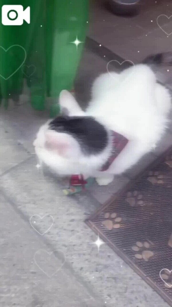 出勤してるー！