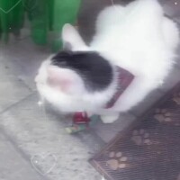 うる