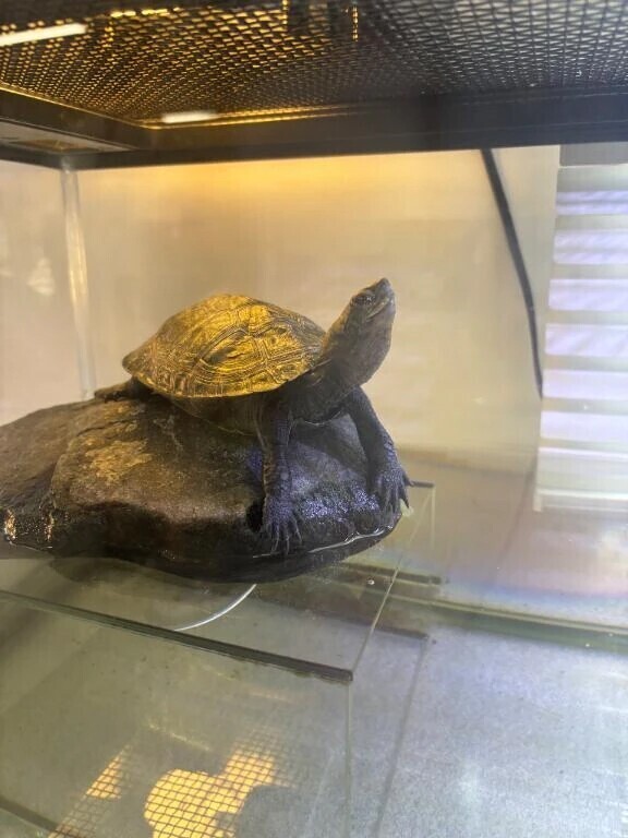こんばんは🌙