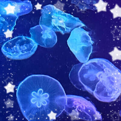 今日出勤だよ〜っ！