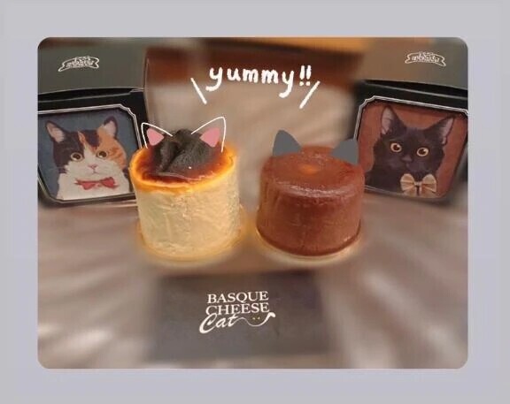 本日12：00〜🐈🩶