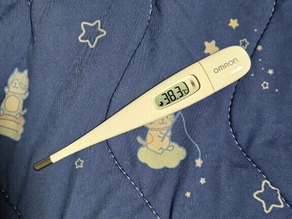 熱でダウンしました😨