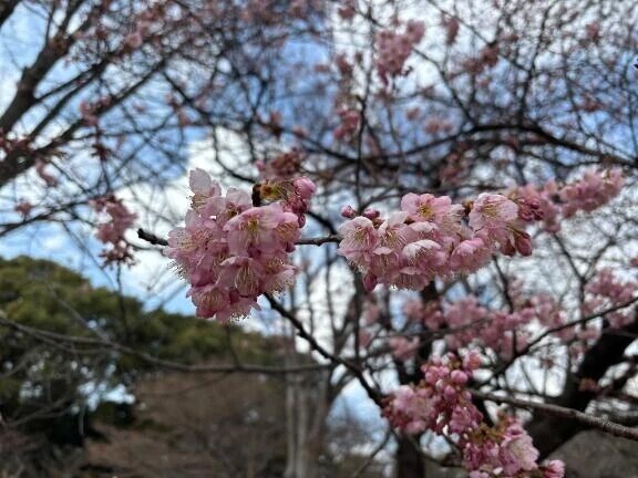 お久しぶりです💦