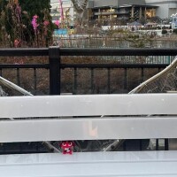 ののか