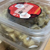 夏海