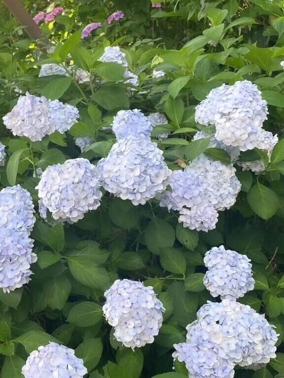 出勤します！