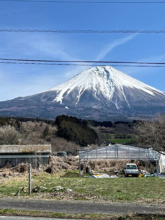 こんにちは❣️