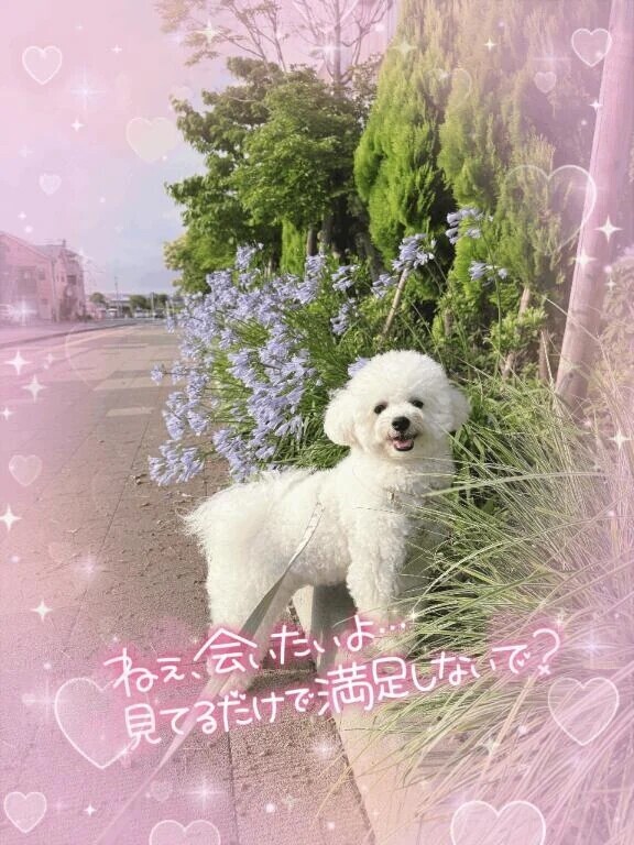 出勤します🙋‍♀️💕