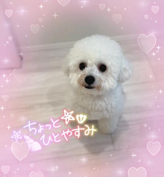 本日リフレッシュ休暇です🙋‍♀️💕