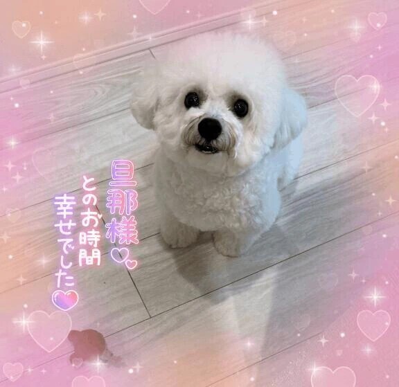 《お礼の日記📔》