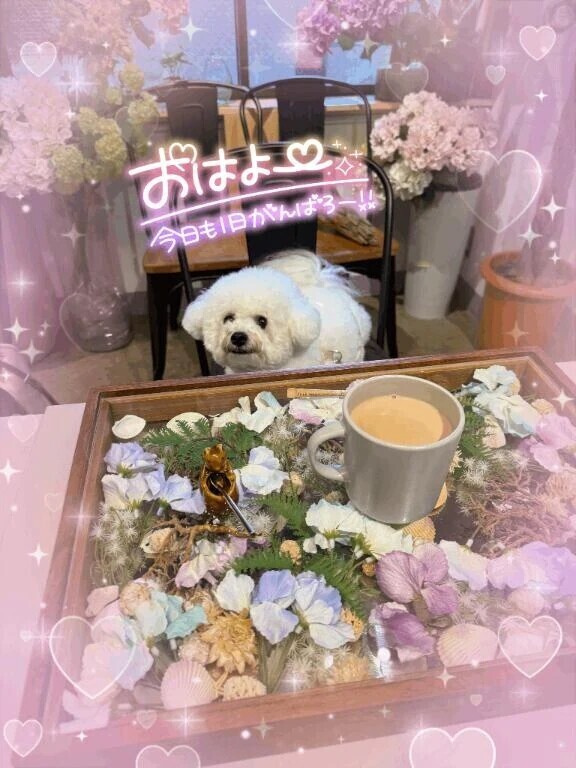 予定通り出勤します🙋‍♀️💕