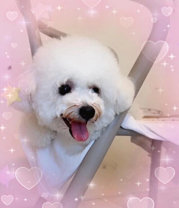 本日は17:00からです🙋‍♀️💕