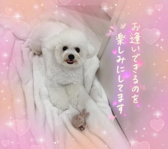出勤します🙋‍♀️💕