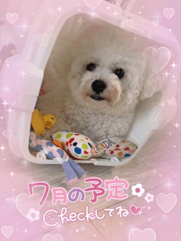 明日から週末にかけて🙋‍♀️💕