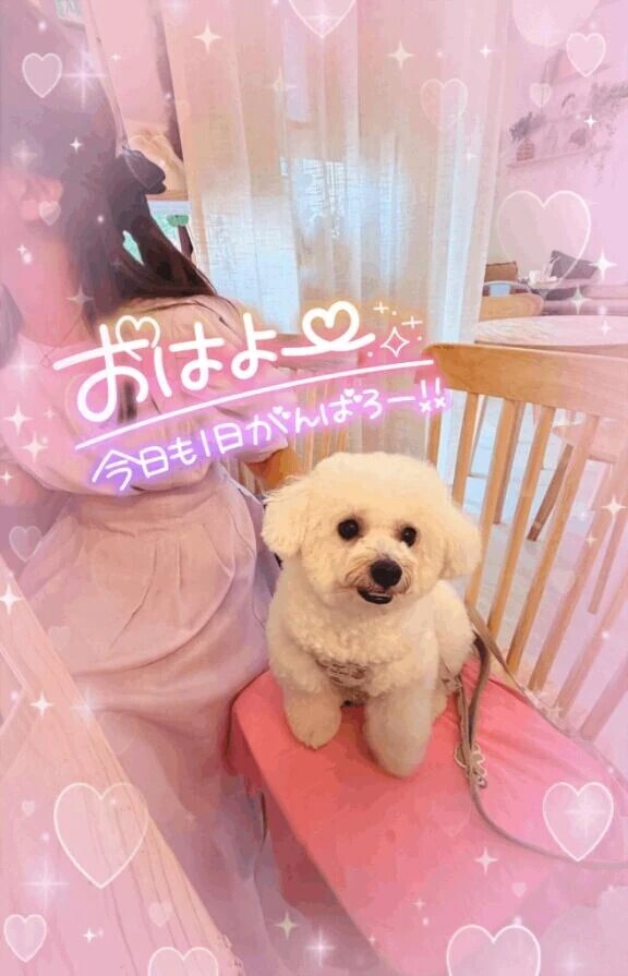 予定通り出勤します🙋‍♀️💕