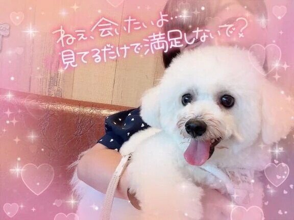 予定通り出勤します🙋‍♀️💕
