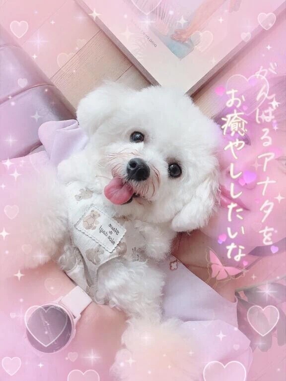 頑張るあなたを癒したい💋💋