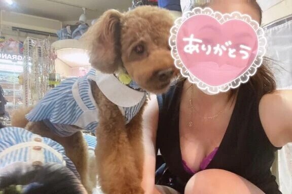 ワンワン💗にゃんにゃん🐈‍⬛