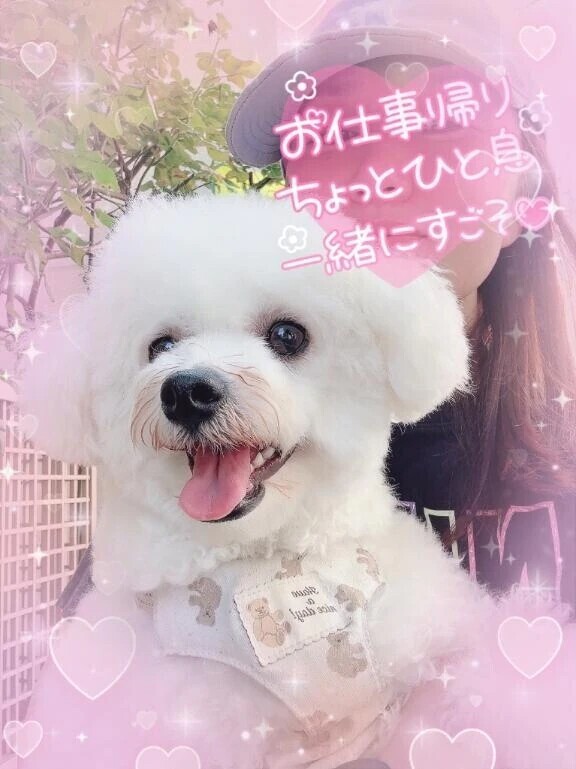 20回目の💋💋
