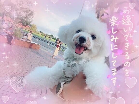 スタートからご予約ありがとうございます🙆‍♀️💕