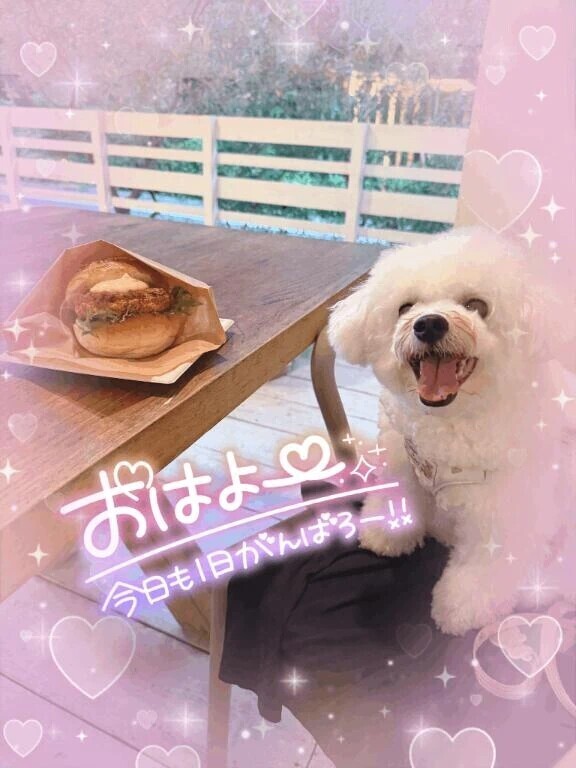 予定通り出勤します🙋‍♀️💕