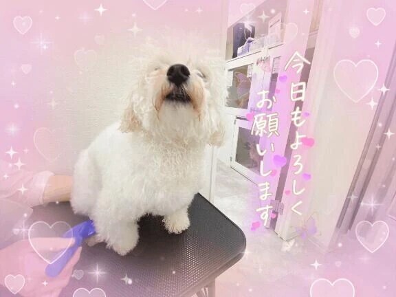 本指名さま貸し切りのご予約ありがとうございます🙆‍♀️💕