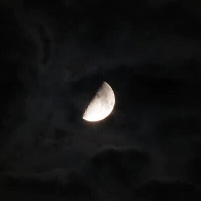 今宵は半月🌓