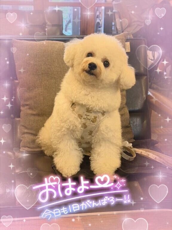予定通り出勤します🙋‍♀️💕