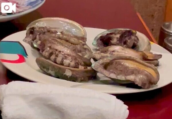 活🦪