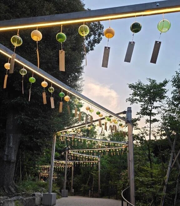夏の音🎐