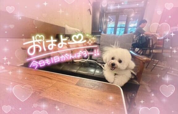 出勤します🙋‍♀️💕