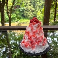 木ノ原かおり