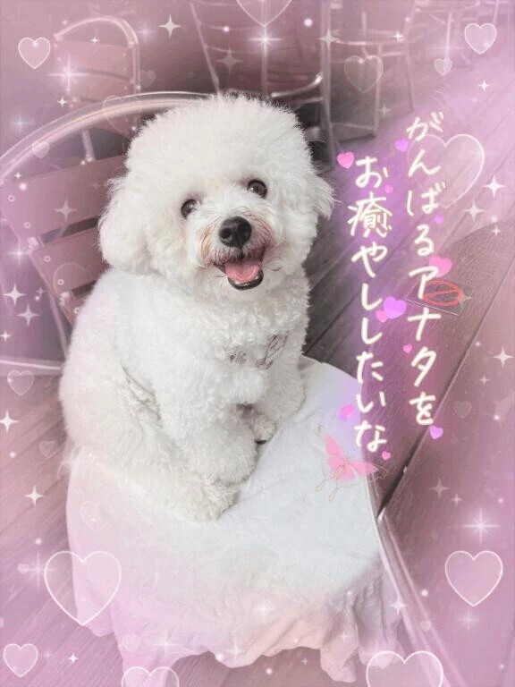 予定通り出勤します🙋‍♀️💕