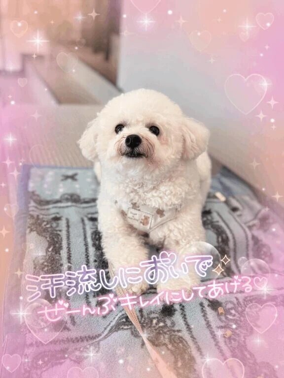 予定通り出勤します🙋‍♀️💕