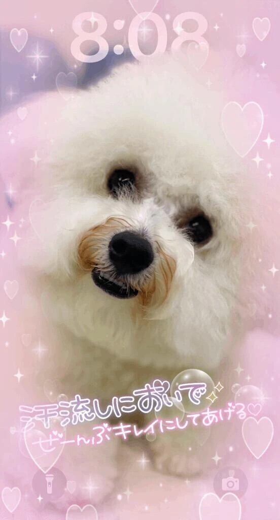 スタートからご予約ありがとうございました🙆‍♀️💕