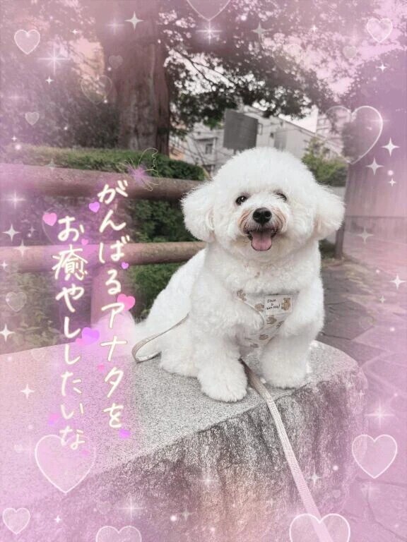 凄い😌💕