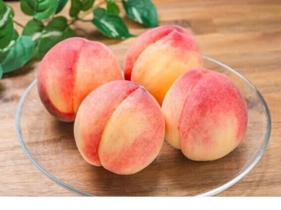 桃食べたい🍑