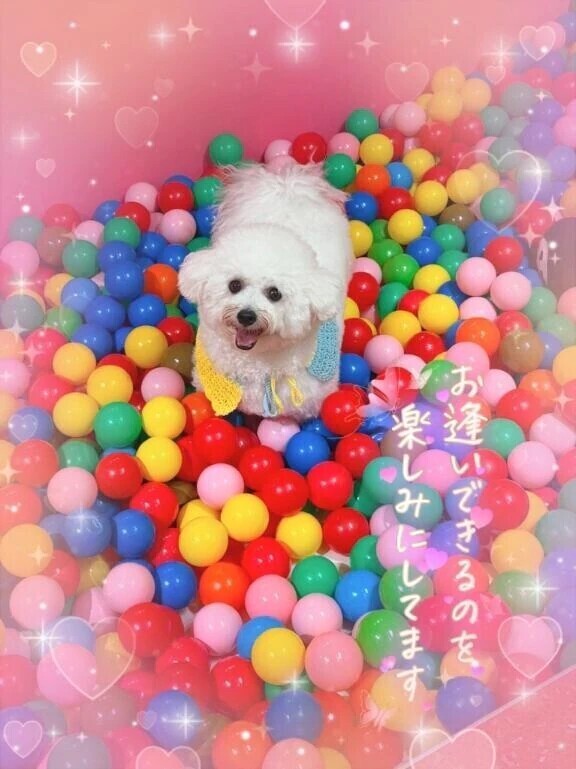 本日分も😌💕