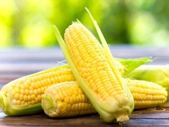 大好きシリーズ🌽