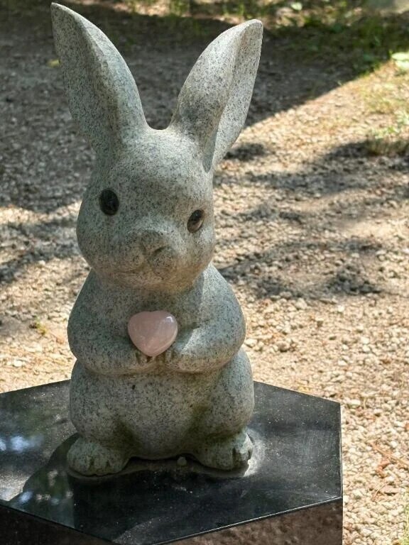 うさぎちゃん