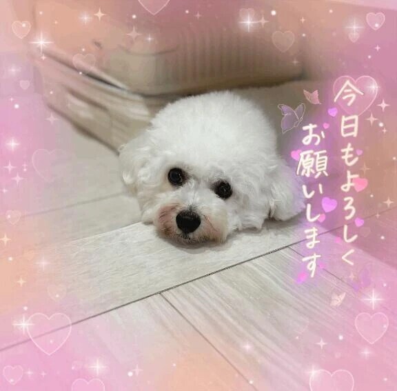 詳細は😌💕