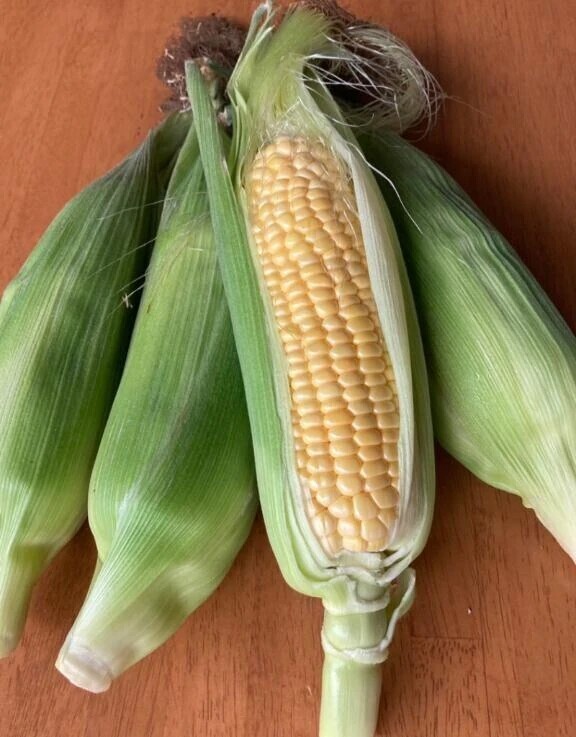 むきむき🌽